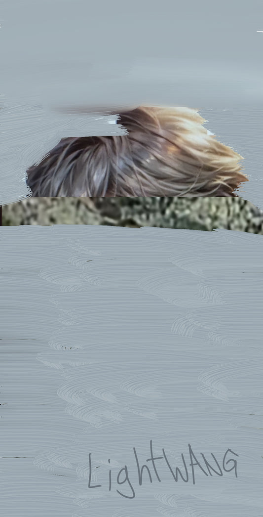 Digital artwork #38 paintings Gods hair